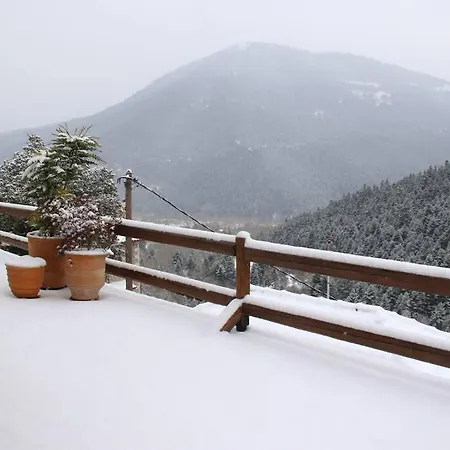 Cozy Mountain Apartment Karpenisi