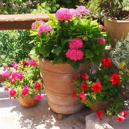 Cozy Mountain Apartman